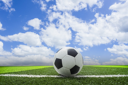 14场胜负彩对阵表手机版应用界面展示